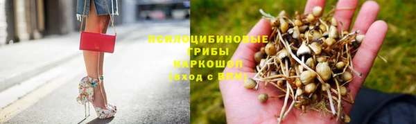 дурь Богородицк