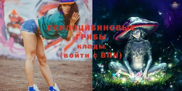 дурь Богородицк