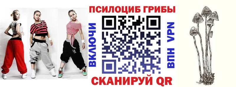 Купить  Гаврилов Посад  Галлюциногенные грибы прущие грибы 